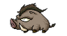 Wild Boar