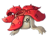 Rafflesia